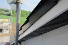 IMG_5207